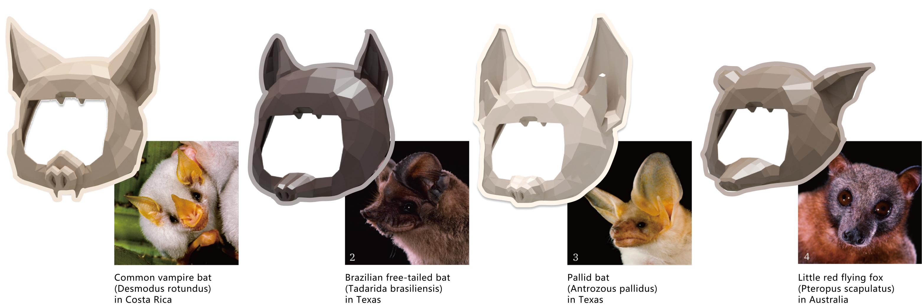 Mask Design